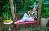 Da selva de pedra para a floresta urbana: alforria!