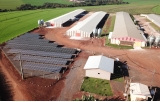Energia solar no campo: a revolução silenciosa que está transformando o agronegócio