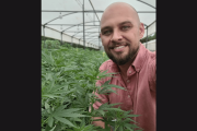 Cânhamo: ativo bilionário estratégico para a bioeconomia e o agronegócio
