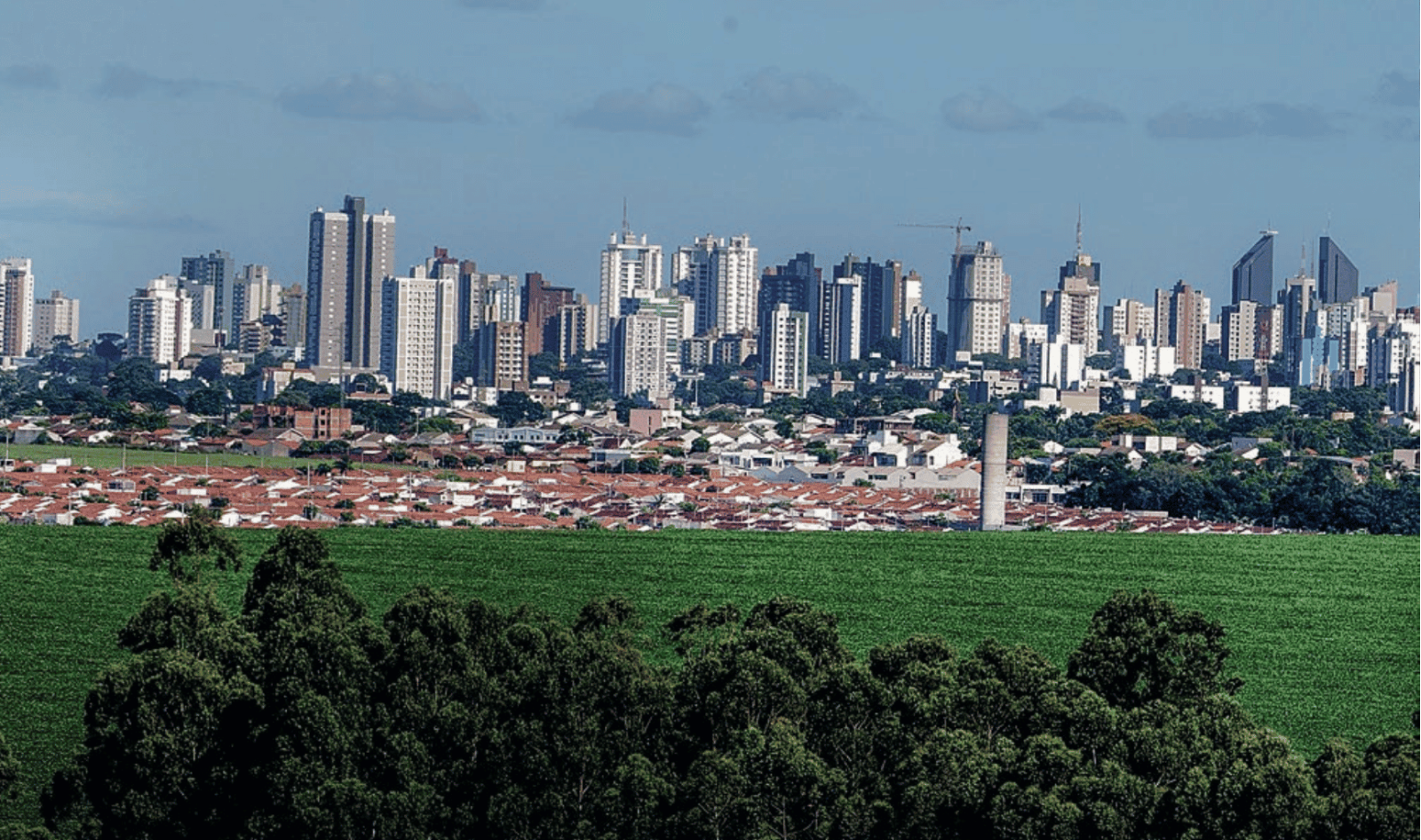Soja líquida, terra de ouro