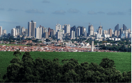 Soja líquida, terra de ouro