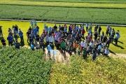 Ganho de produtividade pela pesquisa de cultivares é destaque do 35º Dia de Campo Copacol