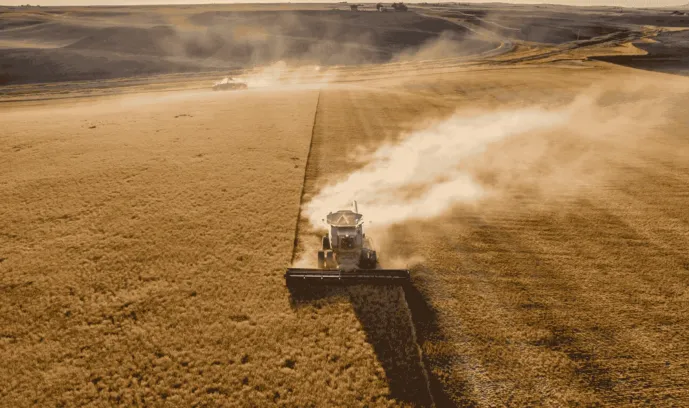 Crédito de carbono: receita alternativa para o produtor rural