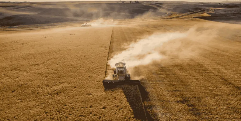 Crédito de carbono: receita alternativa para o produtor rural