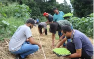 Itaipu promove capacitação em Agroecologia para comunidades rurais do Paraná