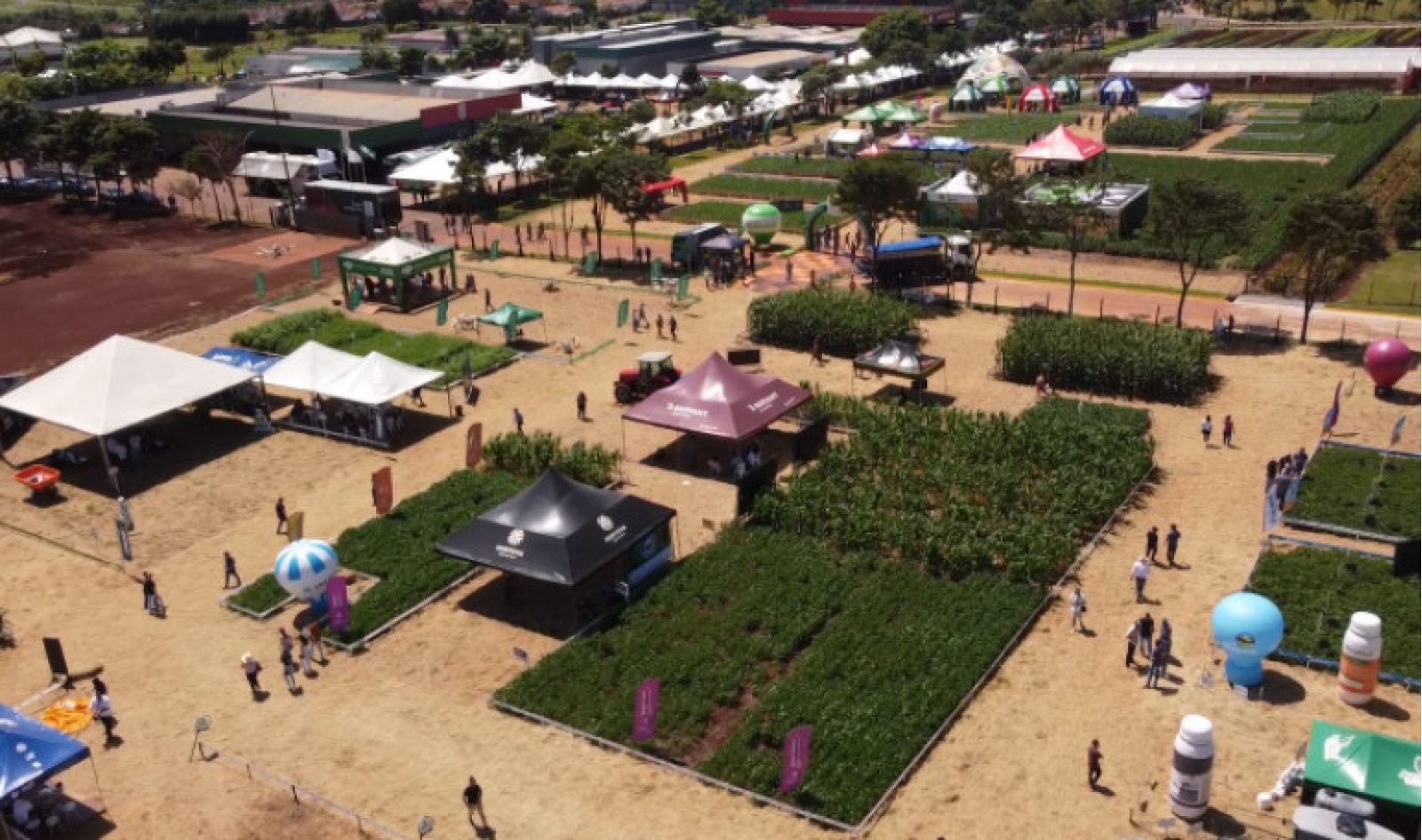 City Farm FAG, em Cascavel, entra no Calendário Oficial de eventos do Paraná