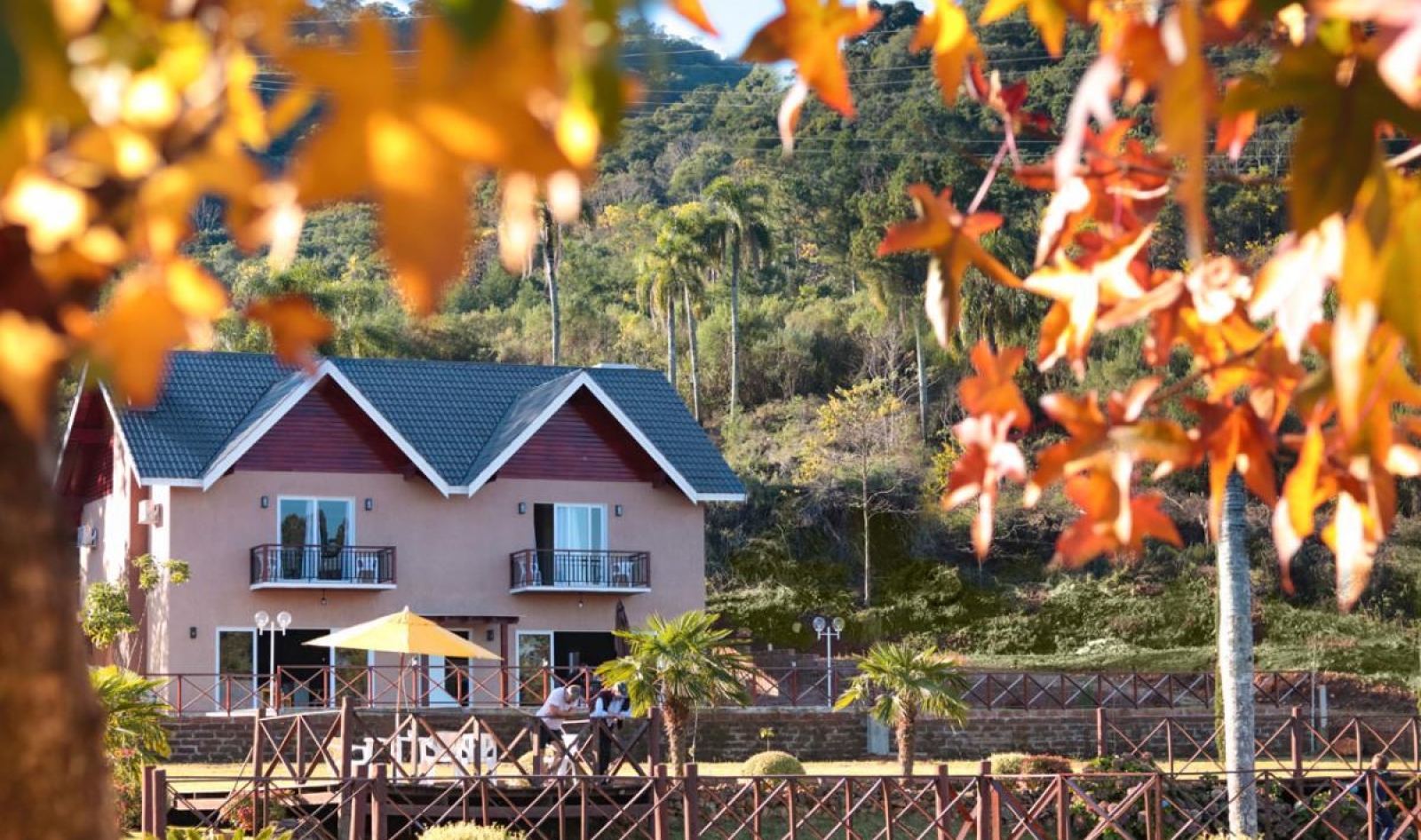 Formigueiro no Gramado