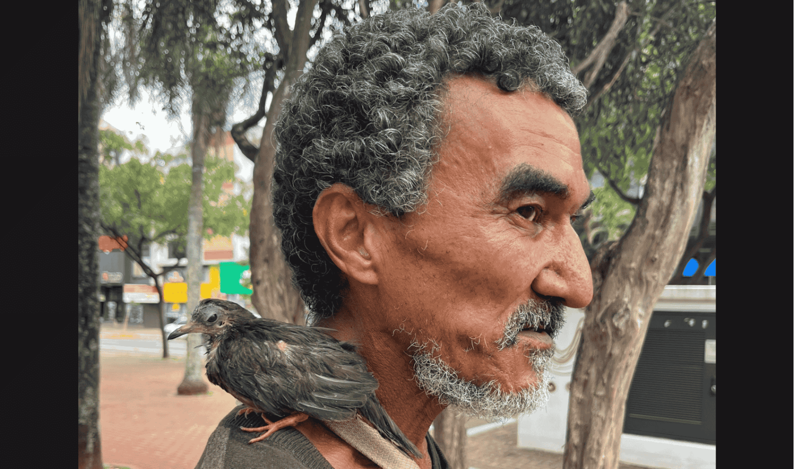 O trio Luiz a asa branca